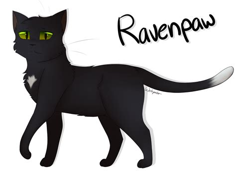 raven warrior cats|did ravenpaw go to starclan.